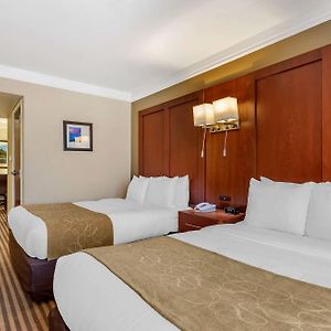 Queen Suite Mobility accessible