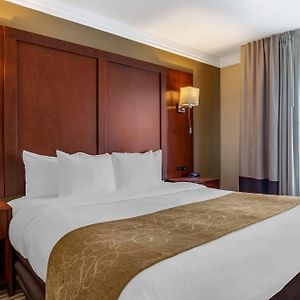 Executive King Suite